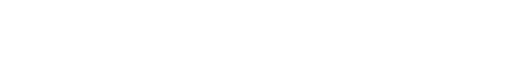 Platinum Project Logo